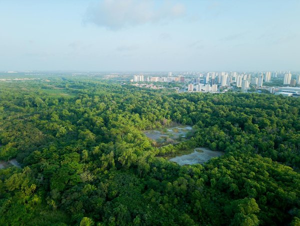 Roulette Légitime En Ligne