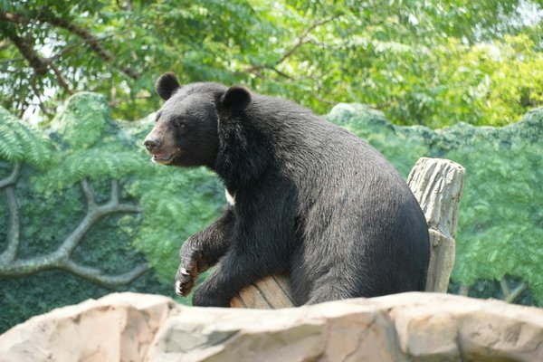 Roulette Casino Monaco