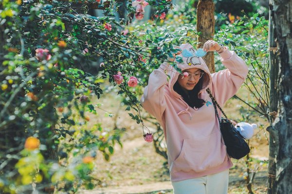 Stratégie De Base Blackjack