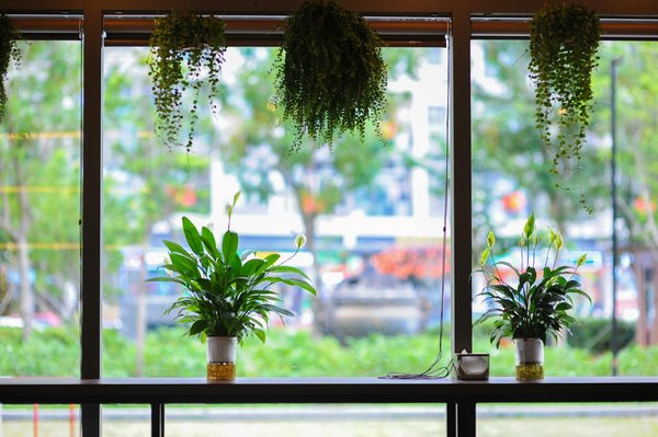 Logiciel De Roulette En Ligne Manipulieren