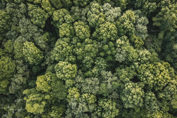 Machines à Sous Les Jeux Gratuits De La Machine