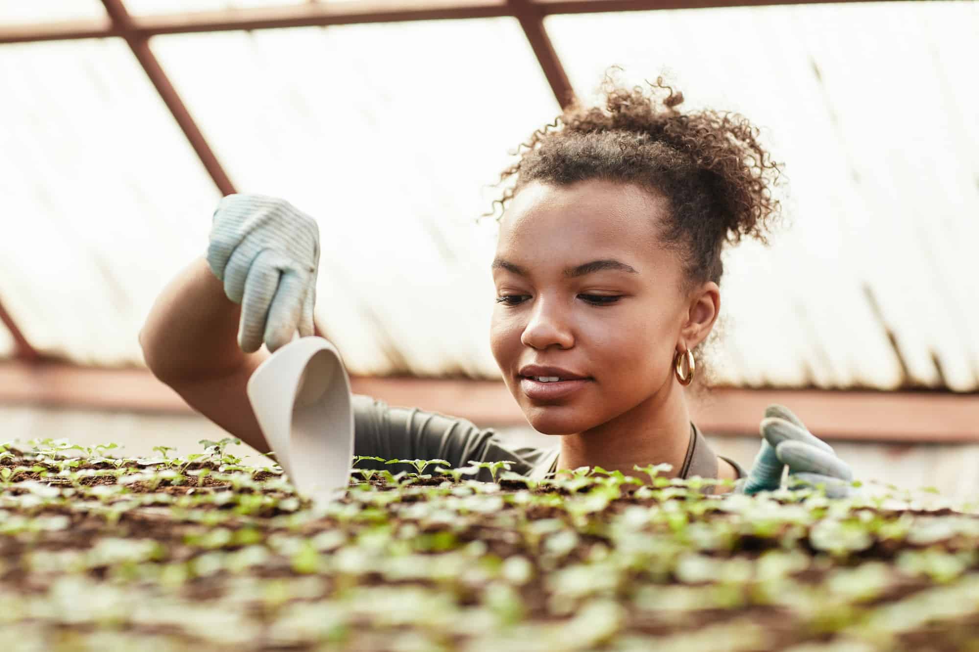 Démarrer ses semis avant le printemps, est-ce possible ?